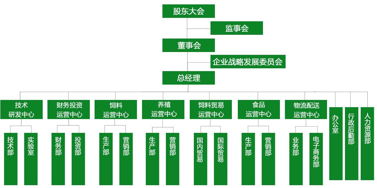 臻美集團組織架構