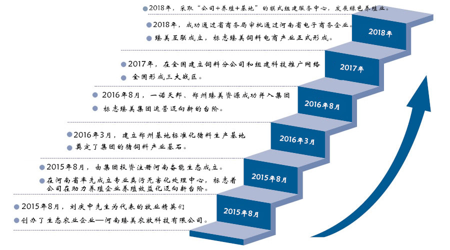 臻美集團發展歷程